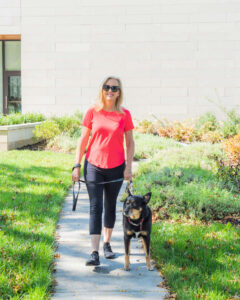 Louisville Kentucky family law attorney
